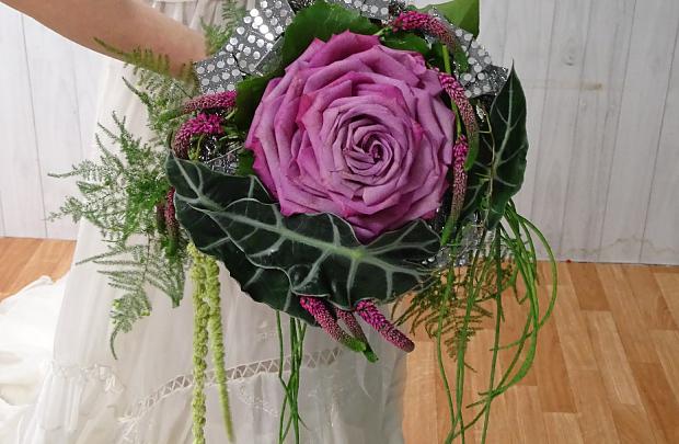 Bodas